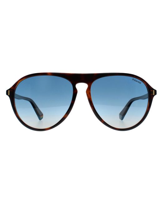 Polaroid Blue Aviator Havana Gradient Polarized Pld 6225/S