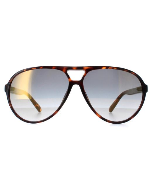 Guess Brown Aviator Dark Havana Mirror Gf5070 for men