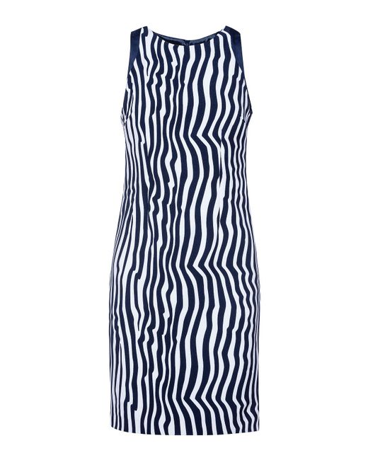 Conquista Blue Sleeveless Zebra Print Dress