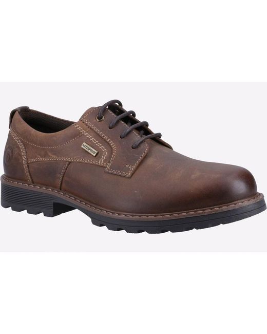 Cotswold Brown Tadwick Watterproof Leather Shoes for men