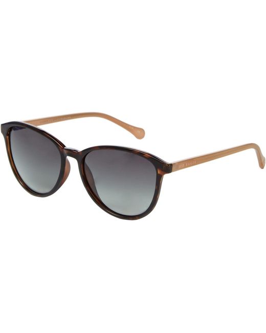 Ted Baker Brown Tierney Sunglasses for men
