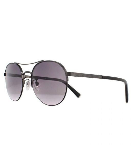 Police Brown Aviator Shiny Gunmetal Smoke Gradient Sunglasses for men