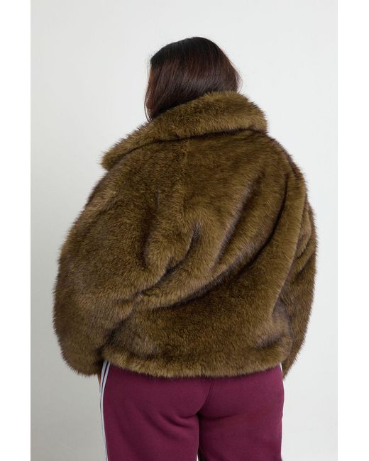 Boohoo Blue Plus Collared Faux Fur Jacket