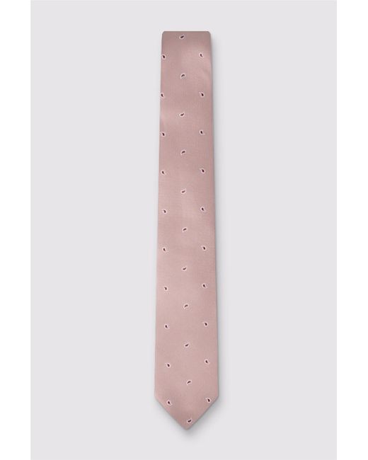 Antique Rogue Pink Paisley Tie for men