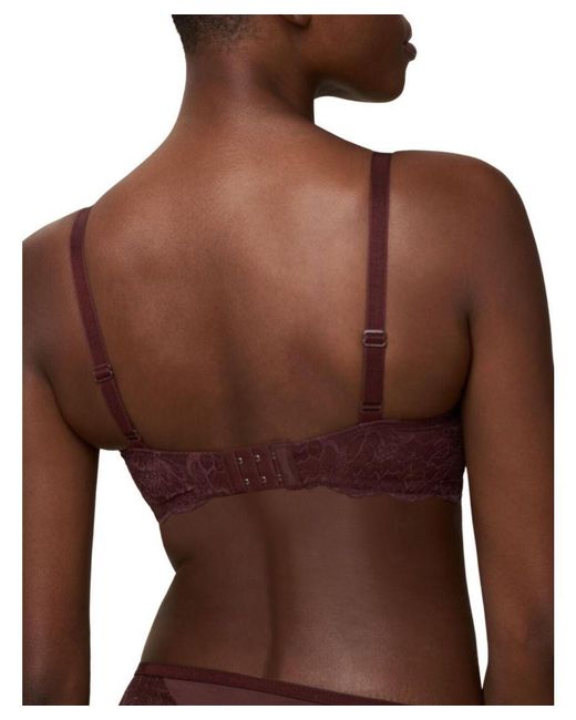 Triumph Brown Amourette Charm Padded Bra