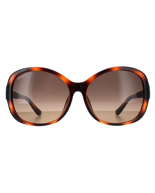 Ferragamo Brown Butterfly Tortoise Gradient Sf744Sla