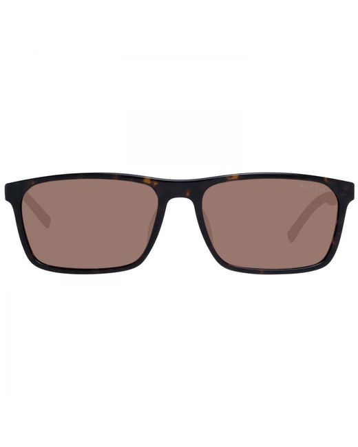 Tommy Hilfiger Brown Sunglasses for men