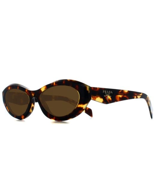 Prada Brown Oval Honey Tortoise Dark Pr26Zs