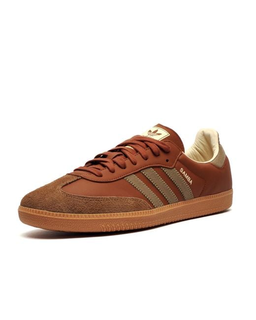 Adidas Brown Originals Samba Og Trainers for men