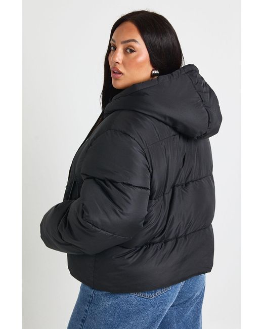 Boohoo Blue Plus Hooded Padded Puffer Jacket