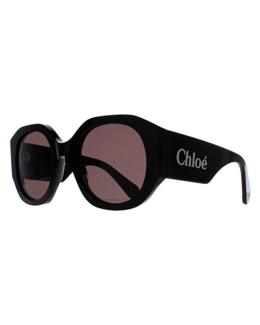 Chloé Brown Chloé Round Ch0234S