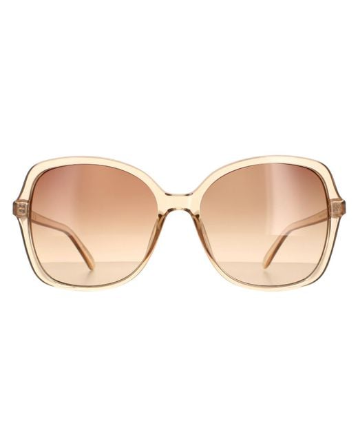 Calvin Klein Natural Butterfly Crystal Gradient Ck19561S