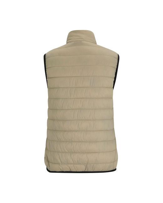 Regatta Green Ladies Hillpack Ii Gilet (Parchment/