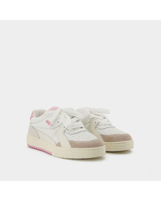 Palm Angels Palm University Sneakers in het White