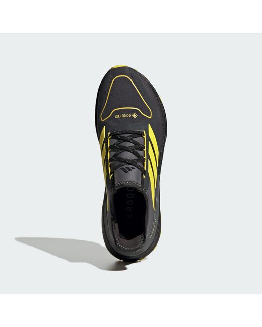 Adidas Originals Blue Ultraboost 5 Gtx for men