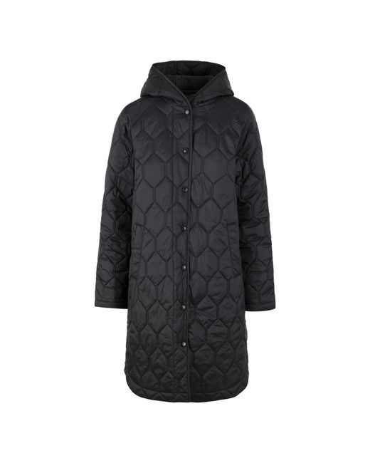 Trespass Black Ladies Phase Padded Jacket