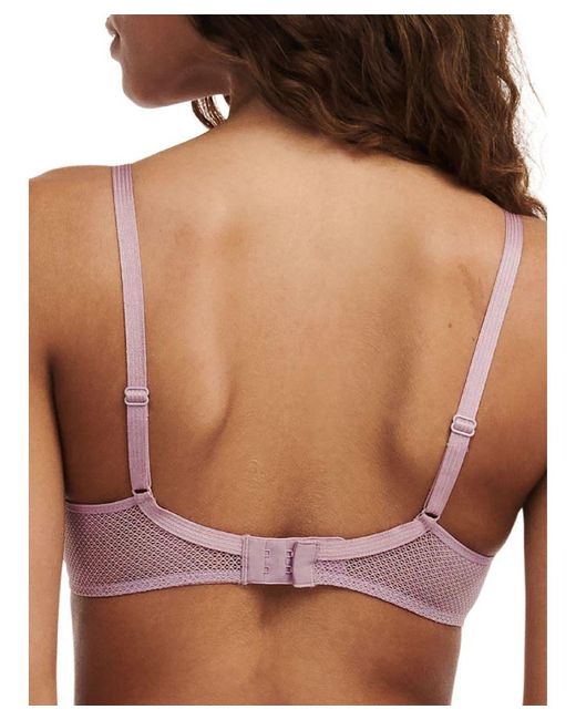 Passionata Purple Olivia Covering T-Shirt Bra Nylon
