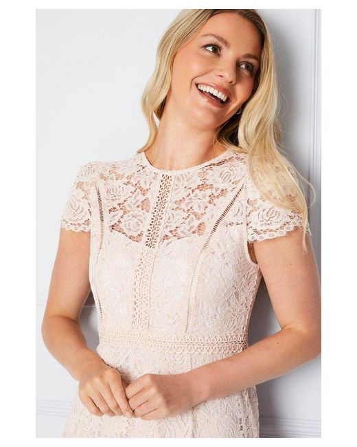 Wallis White Lace Fit And Flare Midi Dress