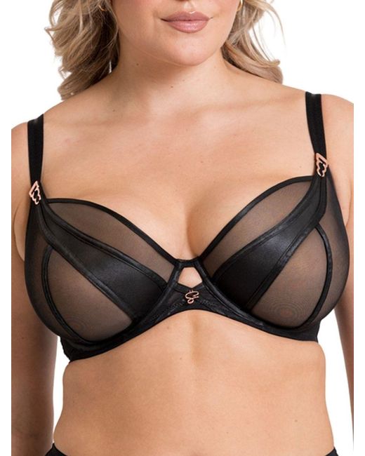Curvy Kate Black Suspense Plunge Bra