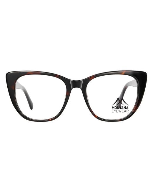 Montana Black Butterfly Shiny Dark Turtle Ma35