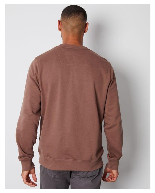Threadbare Brown 'Freeman' Graphic Crew Neck Sweatshirt Cotton/Polyester for men
