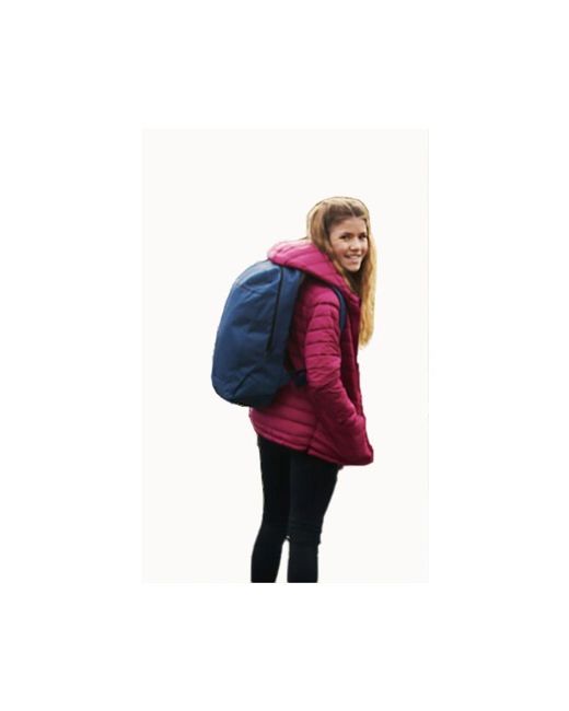 Regatta Blue Shilton 12L Backpack (Dark Denim)