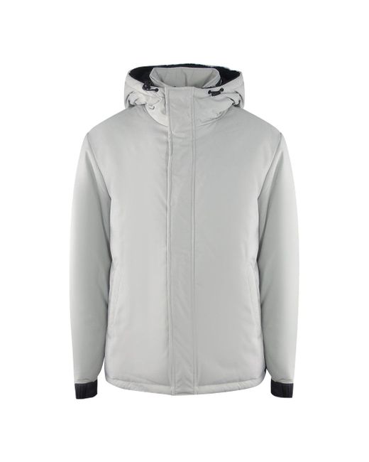 Ice Iceberg Gray Plain Hooded Jacket for men