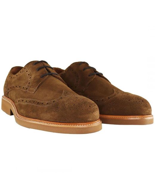 Hackett Brown Chino Brogue Shoes for men