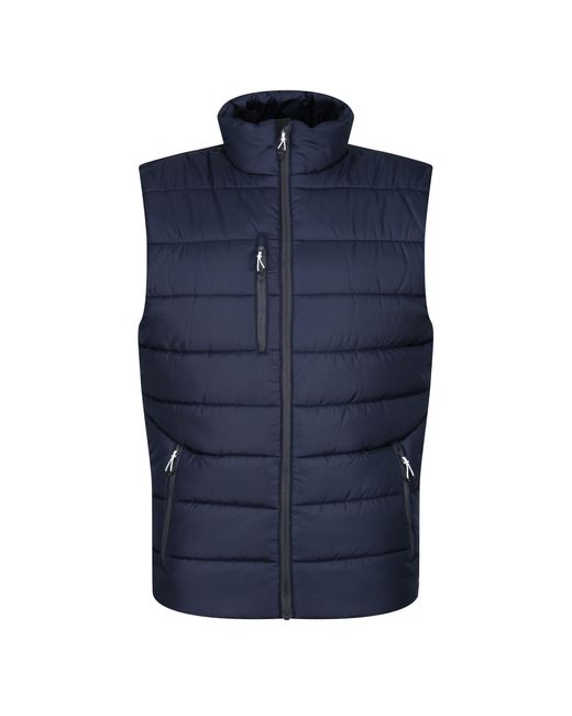 Regatta Blue Navigate Thermal Body Warmer /Seal) for men