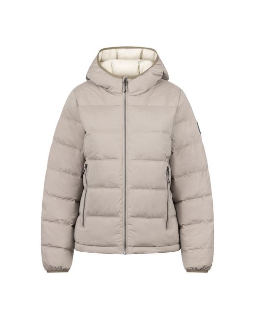 Trespass Rollins Hooded Jacket in het Gray