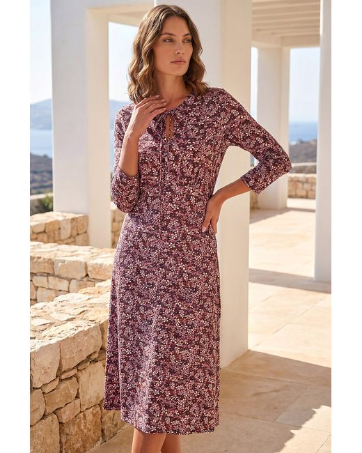 Roman Brown Petite Paisley Tie Neck Dress