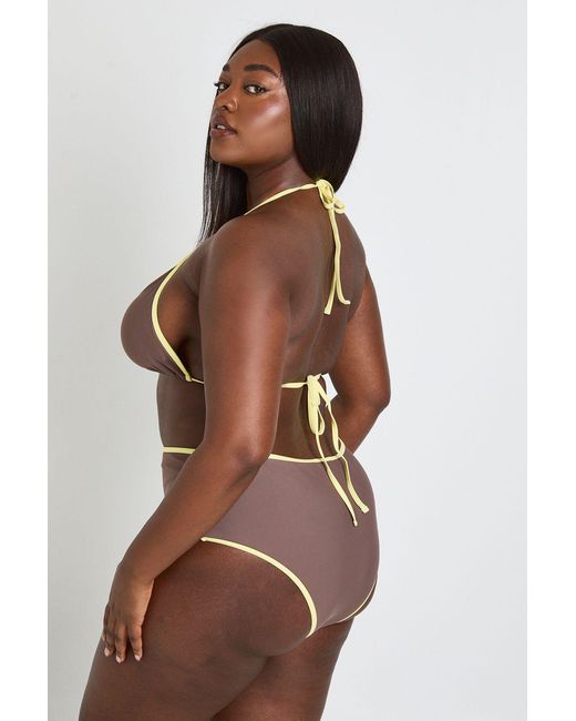 Boohoo Brown Plus Contrast Bikini Top And High Waist Bottom