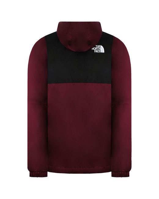 The North Face Red Mountain Q Berry/ Jacket for men