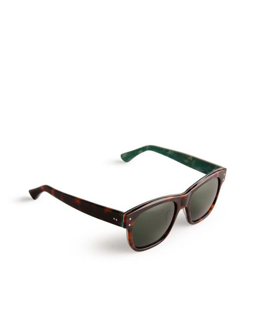Ted Baker Green Lord Mib Printed Sunglasses, Tortoiseshell for men