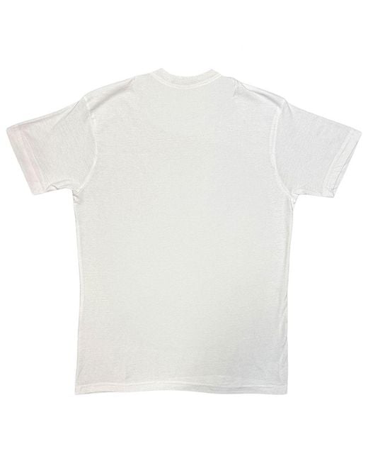 Dc Comics White Adult Superman Krypto Flying T-Shirt