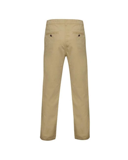 Asquith & Fox Natural Classic Casual Chinos/Trousers Cotton for men