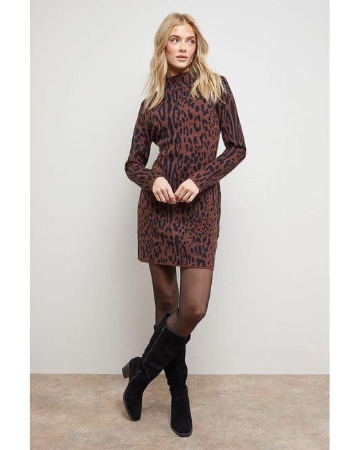 Oasis Brown Leopard Print High Neck Knitted Mini Dress