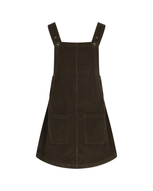 Trespass Brown Ladies Twirl Casual Dress (Dark Vine)