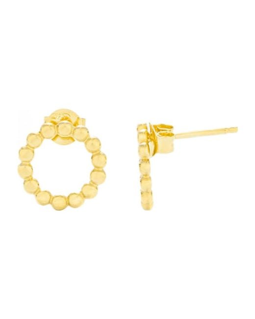 Radiant Metallic Ry000018 Ladies Earrings