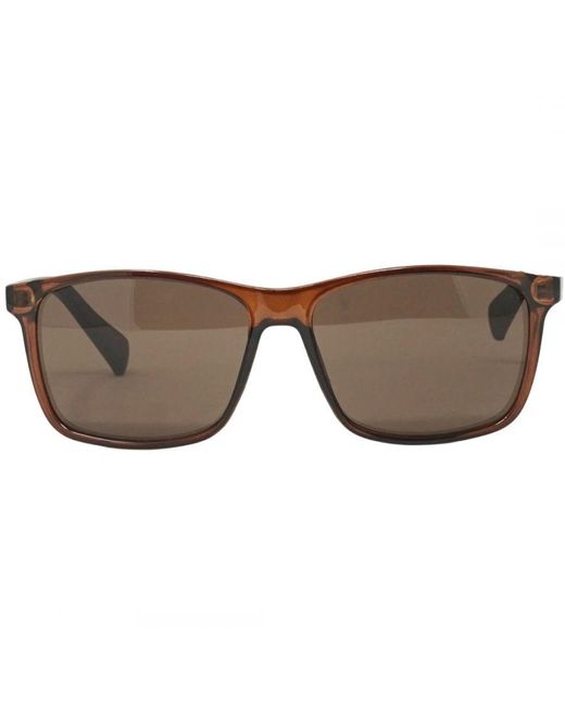 Calvin Klein Brown Ck19568S 210 Sunglasses for men