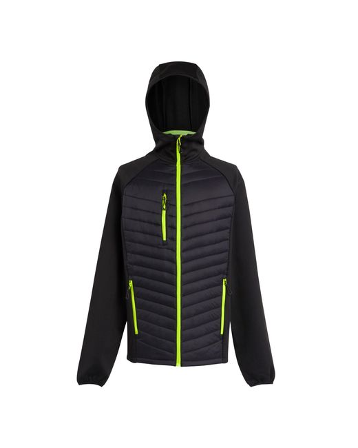Regatta Blue Navigate Quilted Hybrid Jacket /Lime) for men