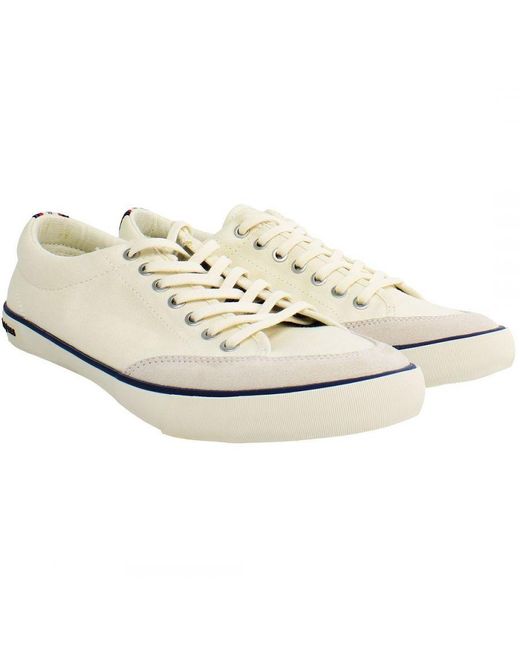 Seavees White Westwood Tennis Shoes Canvas (Archived) for men