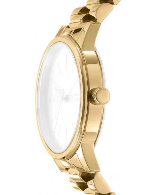 DKNY Metallic Dk1L085M0055 Ladies Watch