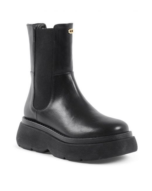 Dee Ocleppo Black Dana