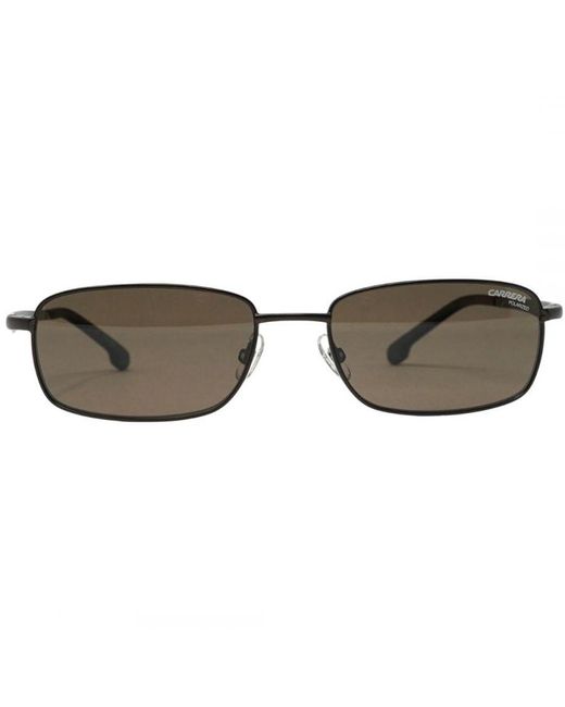 Carrera Brown 8043 009Q Sp Sunglasses for men