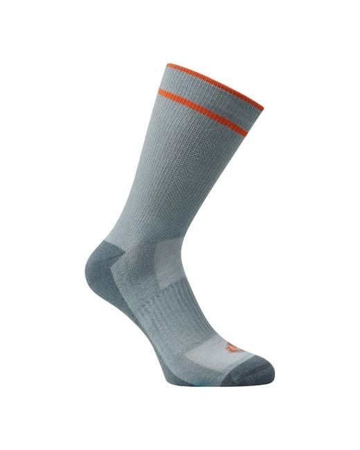 Dare 2b Blue Adult Endurance Walking Socks (Lead/Stormy Weather/Spicy)