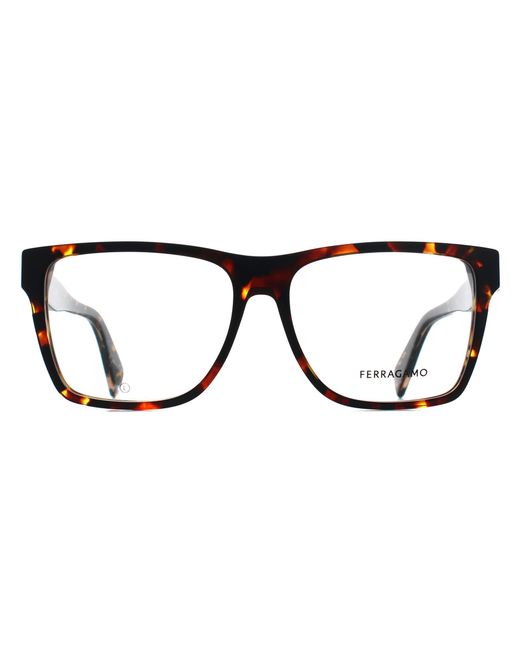 Ferragamo Black Square Dark Tortoise Sf2953N