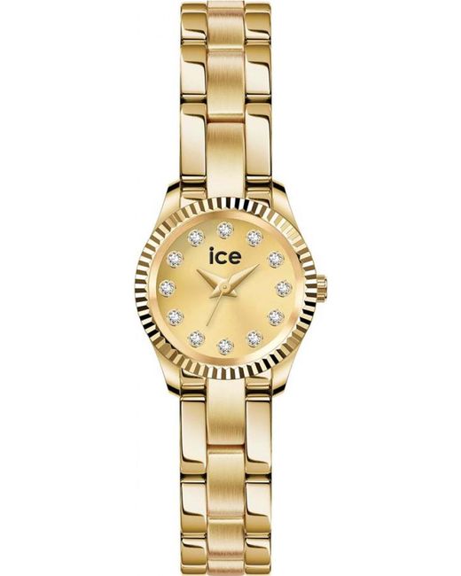 Ice-watch Metallic 025539 Ladies Ice Mimi Watch