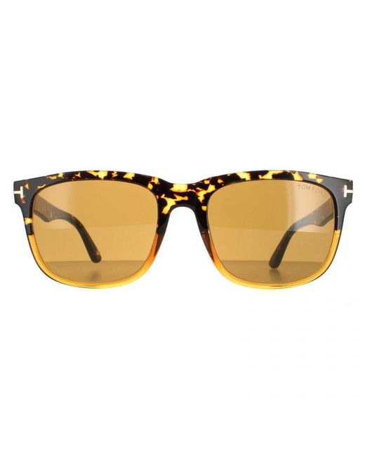 Tom Ford Brown Rectangle Havana Stephenson Ft0775 for men