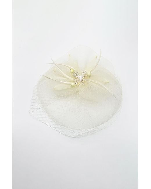 SVNX Natural Feather Bloom Mesh Fascinator